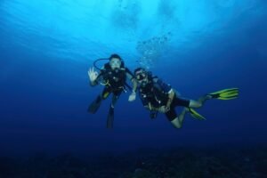 Scuba Diving in the Maldives: Exploring an Underwater Paradise
